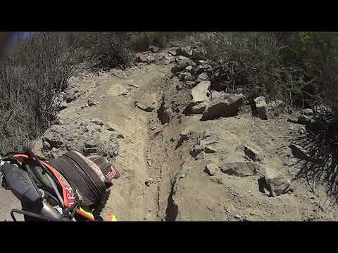 2019.11.12.huacha_c.caña.MAH03362 la raiz cut