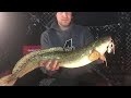 Video Thumbnail for How to fully debone a Burbot