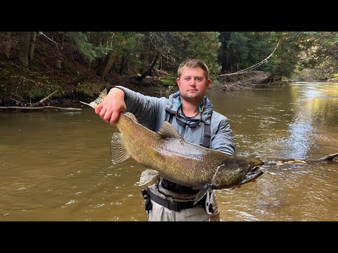 Float fishing Michigan king salmon
