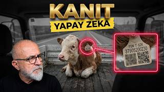 Bu Video Gerçek Değil! Gazeteciyi bile Uyutan Yapay Zeka Tuzağı!