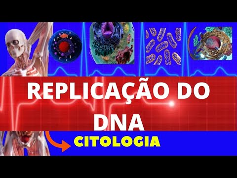 REPLICAÇÃO DO DNA (DUPLICAÇÃO DO DNA) - CITOLOGIA | FACILITANDO A MEDICINA