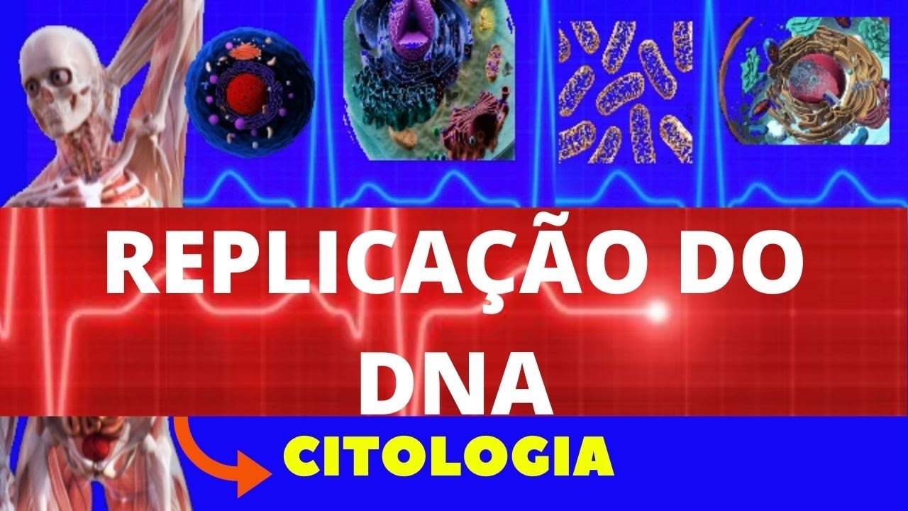 REPLICAÇÃO DO DNA (DUPLICAÇÃO DO DNA) - CITOLOGIA | FACILITANDO A MEDICINA