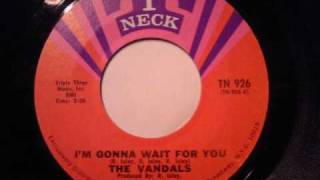 THE VANDALS - I&#39;M GONNA WAIT FOR YOU