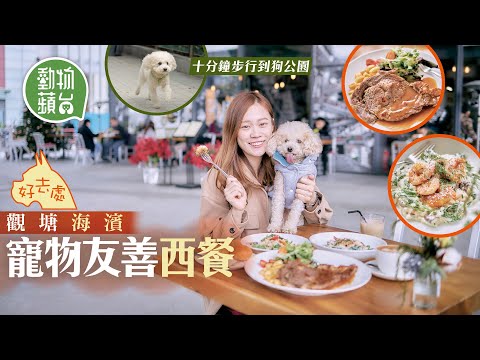狗狗好去處2020—九龍區觀塘海旁西餐廳 10分鐘到觀塘碼頭狗公園 #動物蘋台—果籽 香港 Apple Daily—原刊日期：20201228