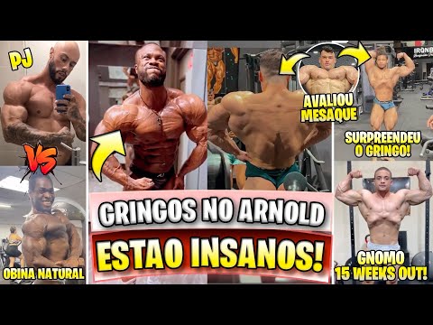 GRINGOS INSANOS RUMO AO ARNOLD! GRINGO SE SURPREENDE COM MESAQUE! GNOMO SHAPE! PJ VS OBINA NATURAL