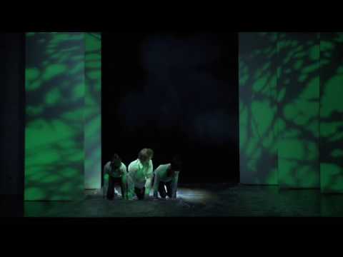 ero stonoga svijeta 2017