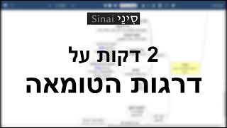 מושגים בגמרא: דרגות הטומאה (אב הטומאה, ראשון לטומאה, שני לטומאה, שלישי לטומאה, רביעי לטומאה)