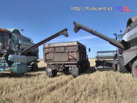 Выпуск программы «День» от 9 сентября 2016г.