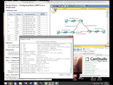 CCNA 2 Packet Tracer Activity 8.3.3.5 solution