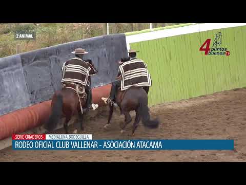 Rodeo Oficial Club  Vallenar - Serie Criaderos