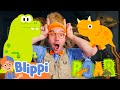 Dino Discovery At Orlando Science Center BLIPPI Kids TV Shows Cartoons For Kids