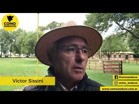 Víctor Sissini, martillero en Adolfo Koerner y Cía. Azul, 11/3/22.