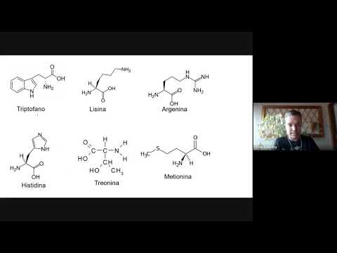 Bioquímica com Gabiru & Michel - Aminoácidos, Proteínas e Enzimas