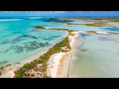 img-video