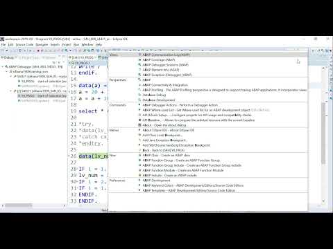Video 12: ABAP on HANA - ADT Debugging Part 2