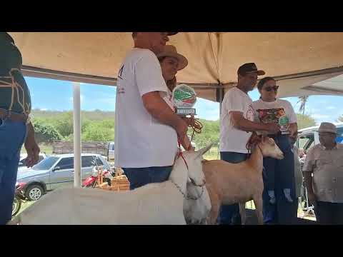 Feira do agricultor em água branca paraiba 