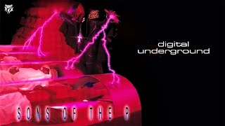Digital Underground - The D-Flowstrumental