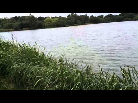 Playing and landing a carp, Layer Pit, Colchester