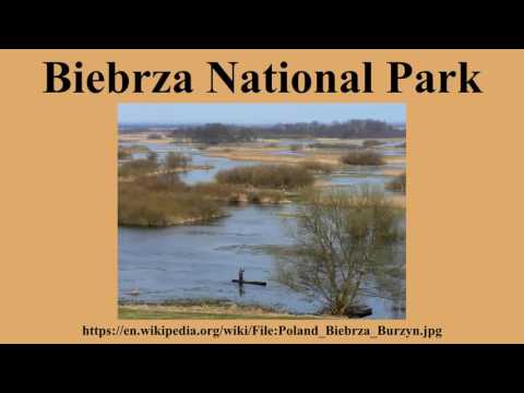 Biebrza National Park