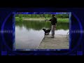 AFV Video Remix Season 22 Episode 11