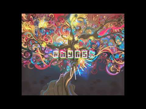 WhyAsk! - Wenn's Klatscht