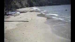 preview picture of video 'People enjoying the beach at Castara Bay'