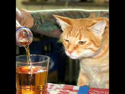 Scotianu(Scotty)-Povesti cu Noi 2012.