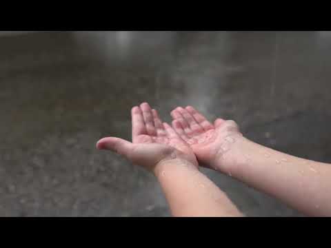 Noticing Nature - 5 4 3 2 1