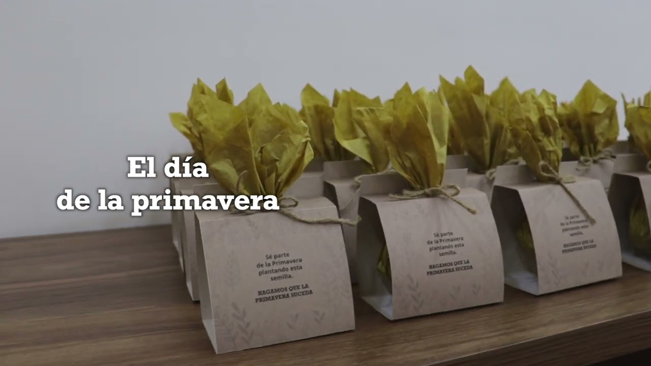 La primavera florece con Grupo Nativa: Conoce su proyecto de reforestación urbana 🌳🌸