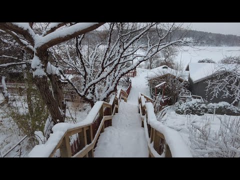 4K Stockholm | Snowy walk with deer | Södra Station to Årstaviken #547