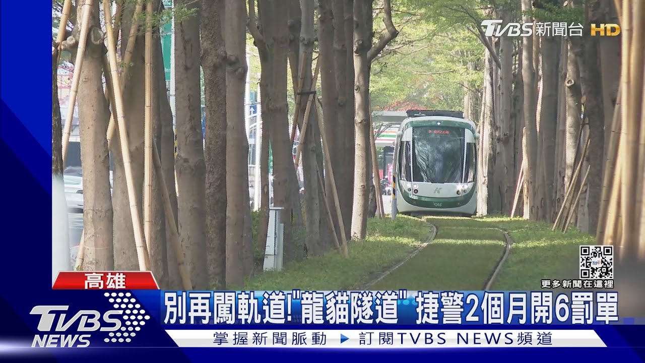 「龍貓隧道」爆紅! 試營運免費期結束12/19開始收費