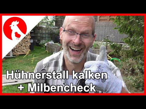 012 Hühnerstall ausmisten, säubern, kalken, ölen und Milbenkontrolle - Jensman and the Huhns🐔
