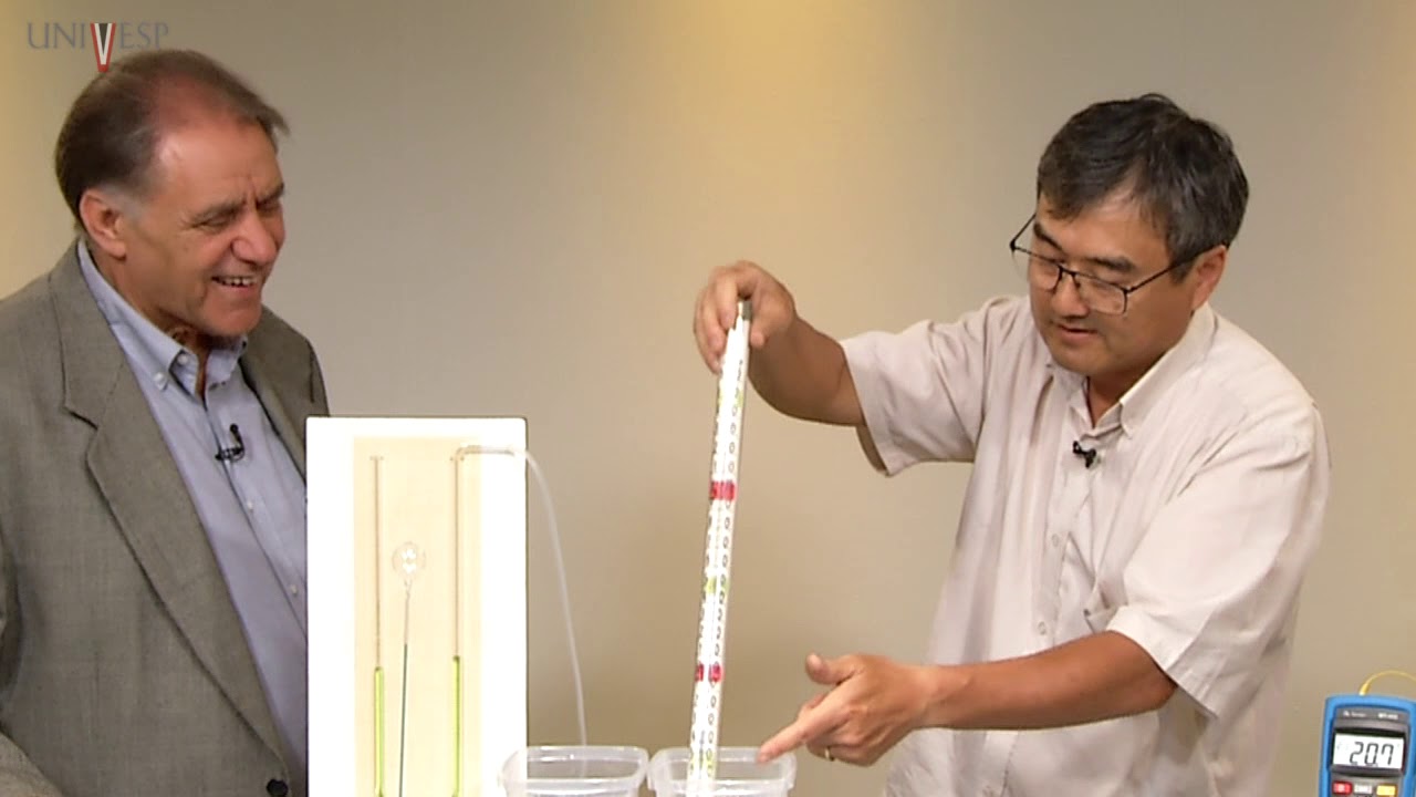 Práticas para o Ensino de Física III - Aula 02 - Termometria e dilatação