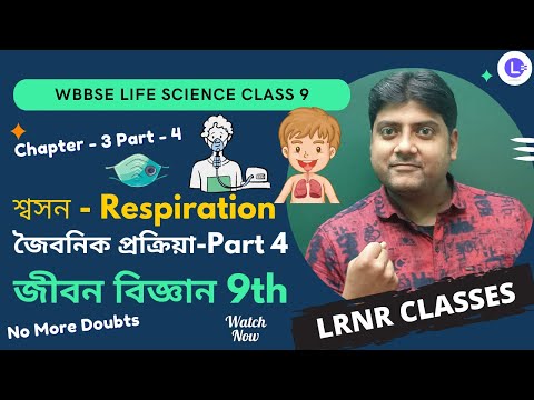  Chapter 3 Shoson (শ্বসন) Respiration | Joibonik Prokriya (Part -4)