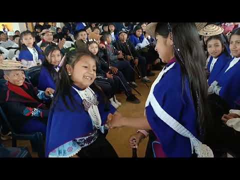 Posesión del Cabildo Estudiantil IEIFIM 2026 La Bonanza Morales Cauca 