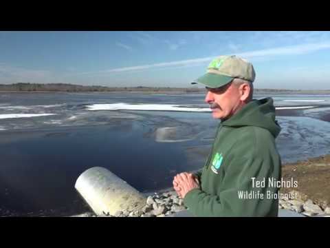 Projekt zur Wiederherstellung des Tuckahoe-Stausees