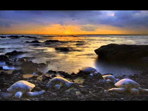 Bustrexx Ft.Seanvance - Please Wake Up (This is Our Song)