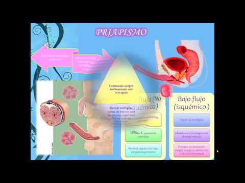 Come aumentare casa pene Comprare crema per il pene per aumentare