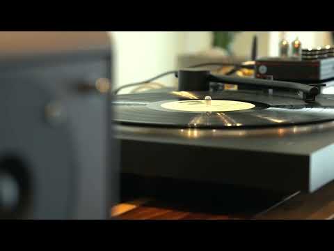 Tvojte oci Leno mori  | Balkan Bossa Nova (Macedonian Folk)