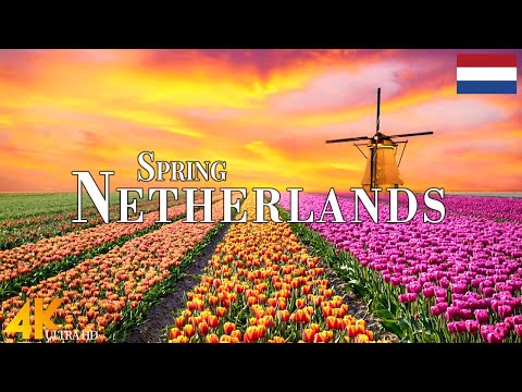 Spring Netherlands 4K Ultra HD • Stunning Footage, Scenic Relaxation Film with Calming Music.