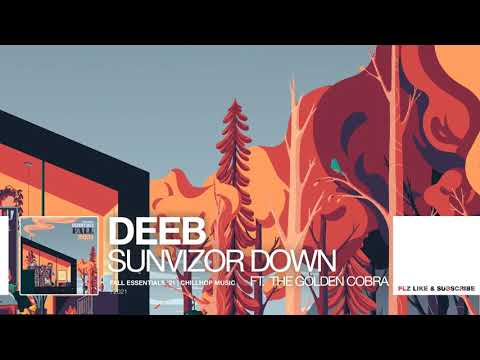 Video thumbnail for Sunvizor Down