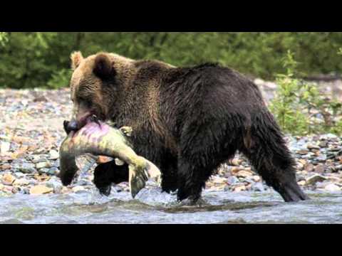 CA History - 1 Mother Nature - Victoria  Xochitl