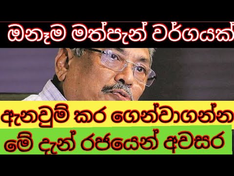 Government allowed deliver the Alcohol to home | Sinhala breaking news today | Sri lanka beer