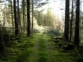 Beethoven Two Preludes Op 39 Wmv