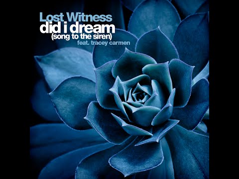 Lost Witness - Did I Dream (Song Of The Siren) (Original 2002)