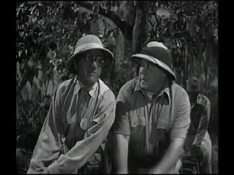 Joe Besser - Africa Screams (1949) - Joe Meets Shemp Howard