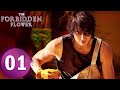 The Forbidden Flower EP01 Starring Jerry Yan Xu Ruohan ENG SUB