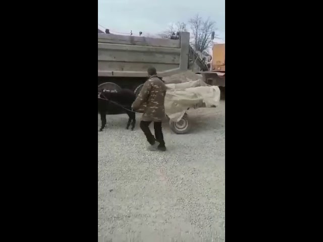 Ну и кто из них осел?