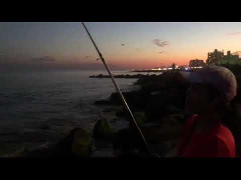 Mongolian shark fishing. Монголка и акулы.