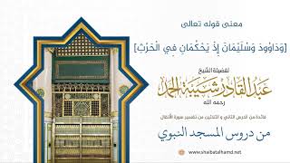 صورة معنى قوله تعالى [وداوود وسليمان إذ يحكمان في الحرث] | لفضيلة الشيخ عبدالقادر شيبة الحمد رحمه الله312